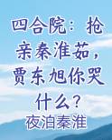 四合院秦淮茹老公