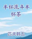 半盏流年风吹逝,一杯清愁谁独酌.是什么意思?
