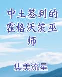 中土签到的霍格沃茨巫师